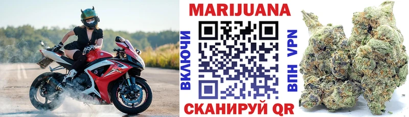 это телеграм  Бор  Шишки марихуана сатива 